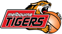 Melbourne Tigers